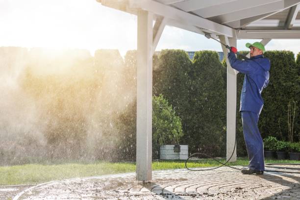Best Gutter Cleaning  in Warren Af, WY